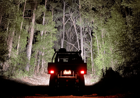 Choosing The Right Light For Your 4WD