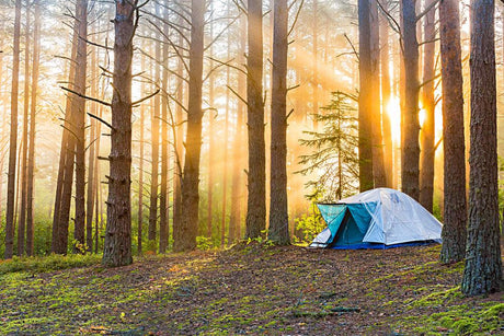 How to Perfect Your Camping Set Up
